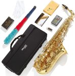 Mendini By Cecilio Eb Alto Saxophone - Case, Tuner, Mouthpiece, 10 Reeds, Pocketbook- Gold E Flat Musical Instruments
#SaxophoneDay