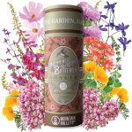 Wildflower Seeds Shaker - Hummingbird and Butterfly Mix - 100,000+ Wild Flower Seeds - in Beautiful Easy to Sow Seed Shaker - Attract Pollinators with These 23 Pure Non-GMO Varieties#PlantAFlowerDay