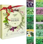 Grow Your Own Herbs Garden Kit - 12 Herb Seeds Variety Pack - Basil Seeds, Mint Seeds, Rosemary Seeds, Oregano Seeds, Parsley Seeds & More Packets in a Box with Herb Seeds Manual by Garden Pack
#PlantAFlowerDay